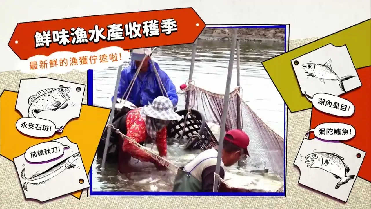 高雄市政府新聞局_2021大型活動宣傳影片 秋季篇_野象映畫的影片畫面
