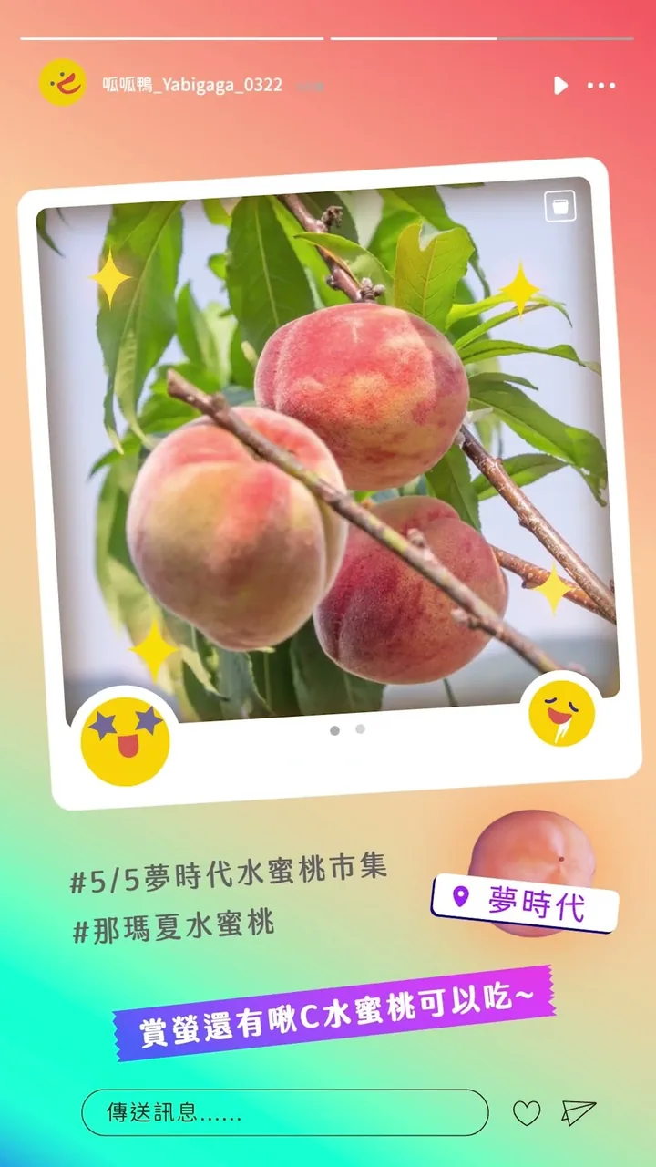 夏日旅程《夏日旅程全攻略》原片畫面